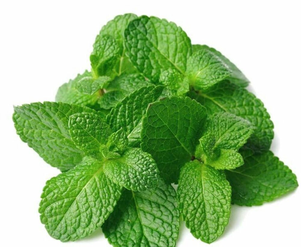 huile essentielle de menthe poivrée