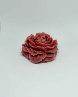 Bougie en fleur : Rose