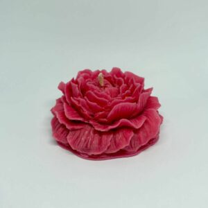 Bougie en fleur : Fushia