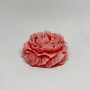 Bougie en fleur : Rose